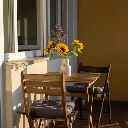 Roomy With Balcony And Parking! Lucca